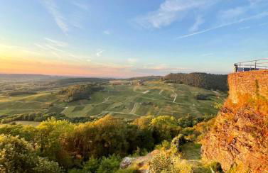 Studio Lilou cocon design au cœur de Lons - Foto 6