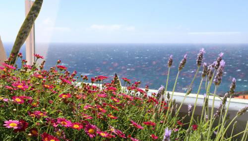 Penthouse Ventur - Foto 2