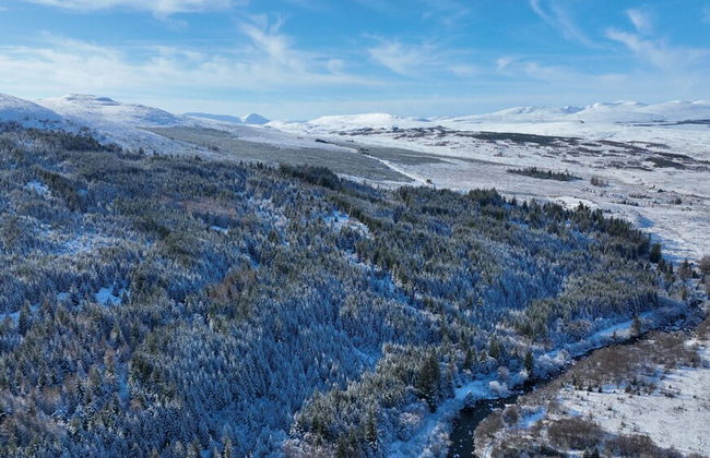 Highland Haven Apartment in Garve - Foto 18