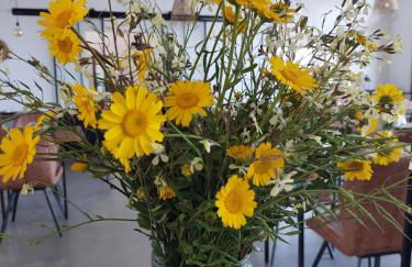 Quinta da Pedrulha - Foto 19