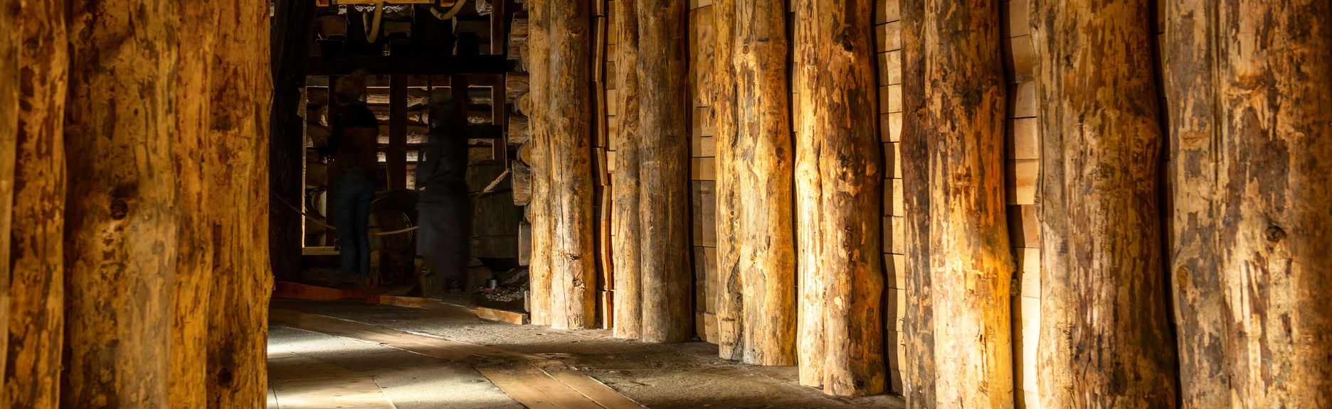 Excursión a las Minas de Sal de Wieliczka