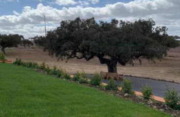 Herdade Monte Gordo - Foto 34