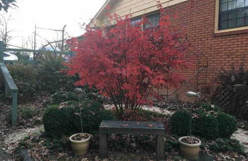 The Nuthatch Cabin - Asheville Tiny Home near the Smokie Mountains! - Foto 29