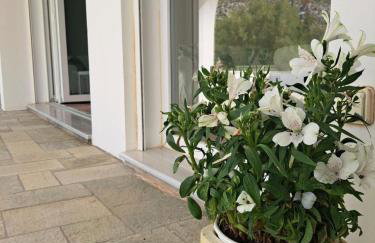 VILLA X Xirokampos Beach Leros - Photo 14