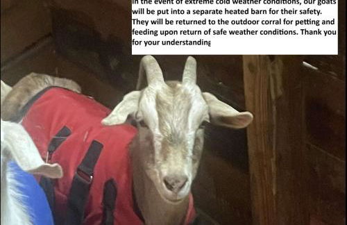 Big Time Hill Cabin with an indoor pool hot tub & great views - Foto 53