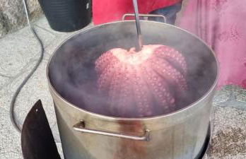 Casa do Crego - Foto 67