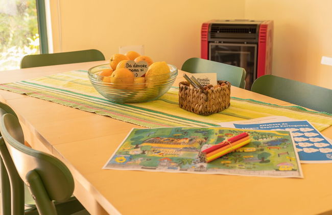 Casa das Palmeiras - Pedagogic Farm - Foto 105