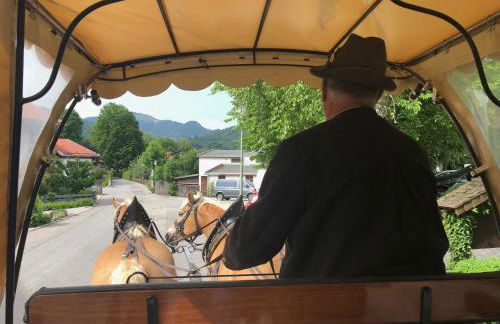AlpenOase Schliersee - große Suite mit Sauna oder gemütliche Studio Appartements - Foto 4