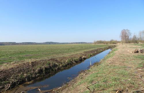 Ferienhaus Schillo - Photo 14
