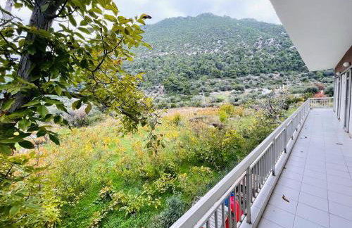 KONTOGIANNIS lihas club 2 - Photo 14