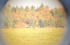 Appartemt Indépendant- Paysage Verdoyant- Piscine - Foto 12