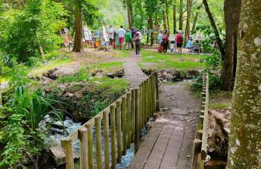 Reflets de Sologne - Foto 59