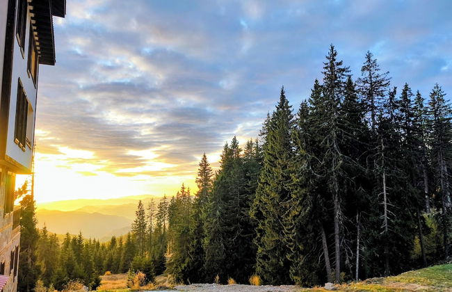 Tulip Apartment High-end, Grand Resort Pamporovo - Foto 17