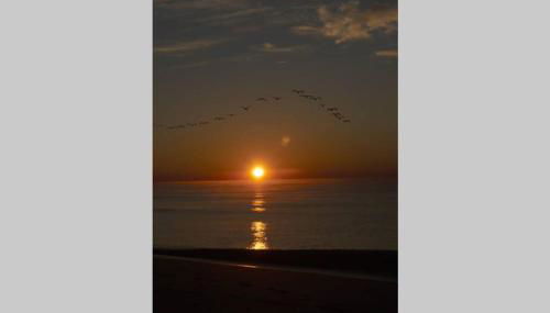 Aqua Haven - Second Street from Beach Home - Foto 4