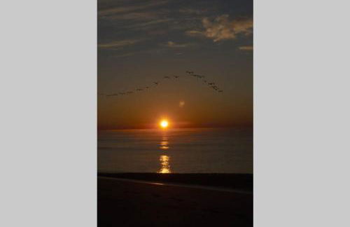 Aqua Haven - Second Street from Beach Home - Foto 4