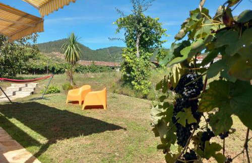 Ribança Village - Foto 5