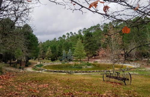 Chalet lujo en finca Zafiro lagunazo Riopar 5 o 3 dormitorios y 3 Baños Parque Natural del Rio Mundo - Foto 50