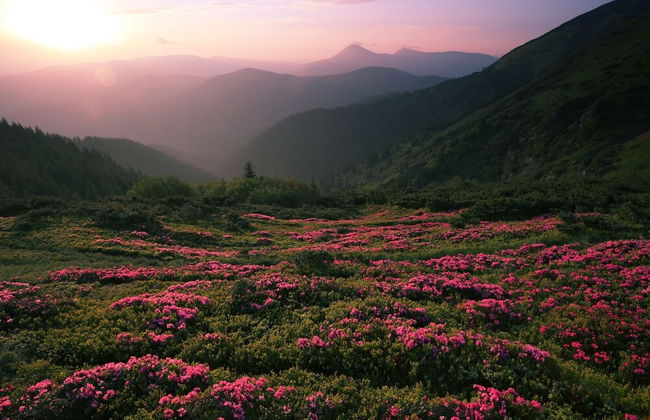 Huckleberry Ridge by Jackson Mountain Rentals - Foto 31