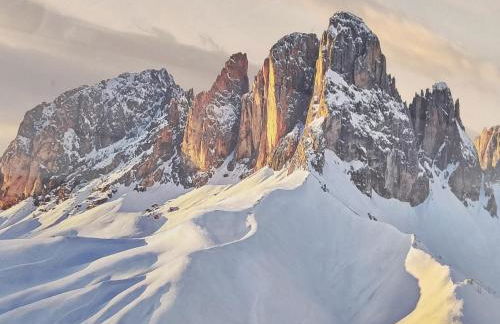 Appartamento Campitello House - Foto 23