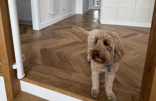 Bader House - Foto 9