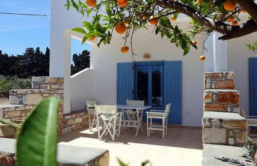 Flora Apartments - Photo 41