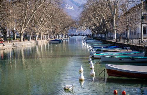 Studio 2 personnes - lumineux - Lac d'Annecy - Foto 17