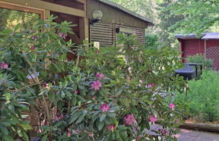 Ferienhaus Bucheneck perfekt für Familien & größere Gruppen im Seenland Lausitz - Foto 20
