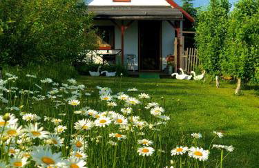 Domek przy Azylu Bocianim - Foto 1