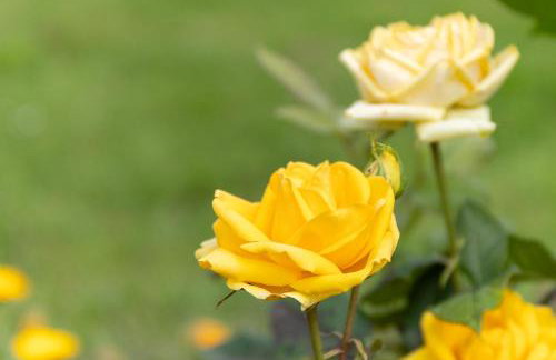 Casa Rural Zigako Etxezuria - Photo 77