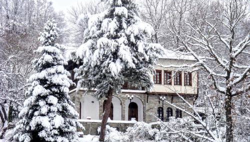 Zenios Dionysos - Traditional villa - Foto 2