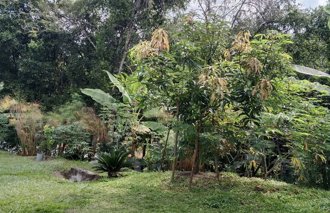 cabañas hotel villa lucia - Photo 58