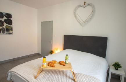 Apparemment t3 au cœur champenois - Foto 16