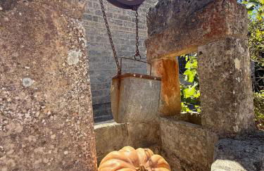 Tenuta Masseria & Spa Chicco Rizzo - Foto 152