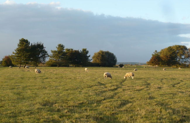 Cottage in Brookland Near Romney Marsh Beach - Photo 22