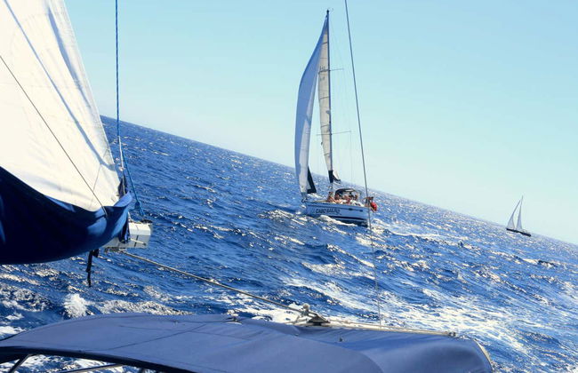 Gulf of California Yacht Cruise - Foto 8