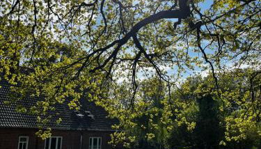 Hof Bahrenwinkel - Foto 4, Garden, Garden view