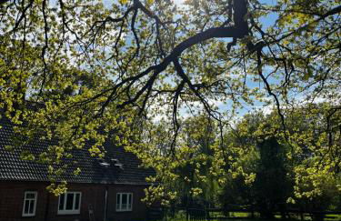 Hof Bahrenwinkel - Foto 4