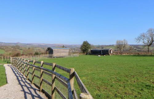 Golden Fleece - Foto 15