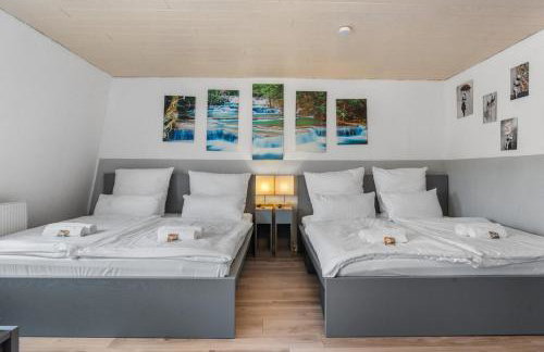 DG - Einfach aber sehr komfortabel - Wohnung für bis zu 12 Personen - Gruppen, Messe, Monteure, Studenten - Voll ausgestattet - 3 Smart-TV 55 Zoll Netflix, 1000 Mbit WLAN, voll ausgestattete Küche - Foto 5