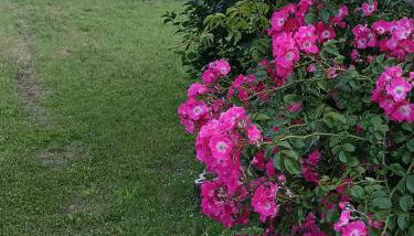 Maison 6 couchages avec jardin au coeur des châteaux de la Loire - Foto 4