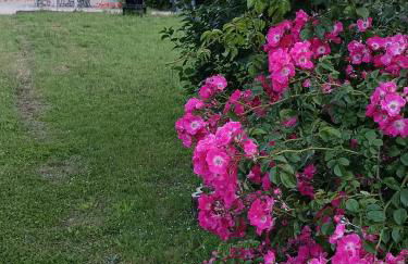 Maison 6 couchages avec jardin au coeur des châteaux de la Loire - Foto 4