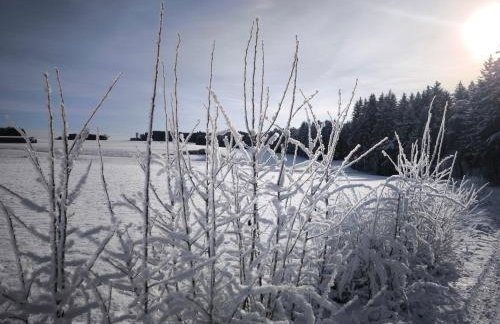 Haus Rosengarten - Foto 35