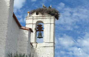 Estrela Villas - Foto 21