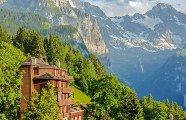 Schweizerhof Apt. S - Foto 5