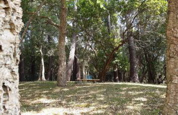 La maison de Maritxu - Entre plage et foret - Landes - Pays Basque - Foto 13