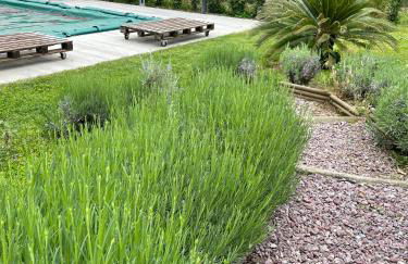 Borghetto Sant’Angelo - Foto 27