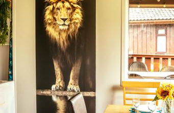 Wild Jungle Retreat - Foto 1