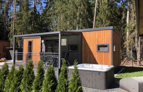 WA100 - Moderne Mobilheime im Oberpfälzer Seenland - Foto 39