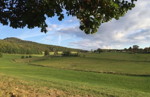 One-bedroom apartment - Foto 18