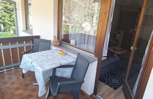 Gemütliche Ferienwohnung in Sankt Blasien - Foto 17